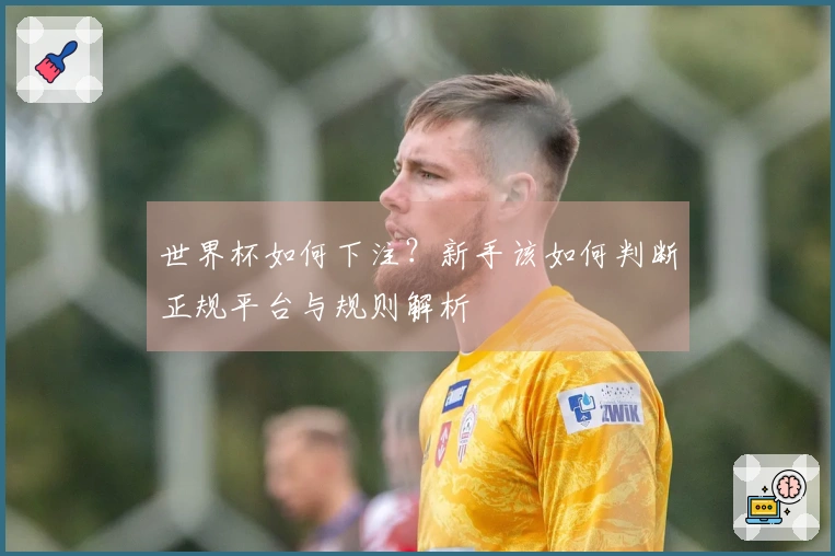 世界杯如何下注？新手该如何判断正规平台与规则解析