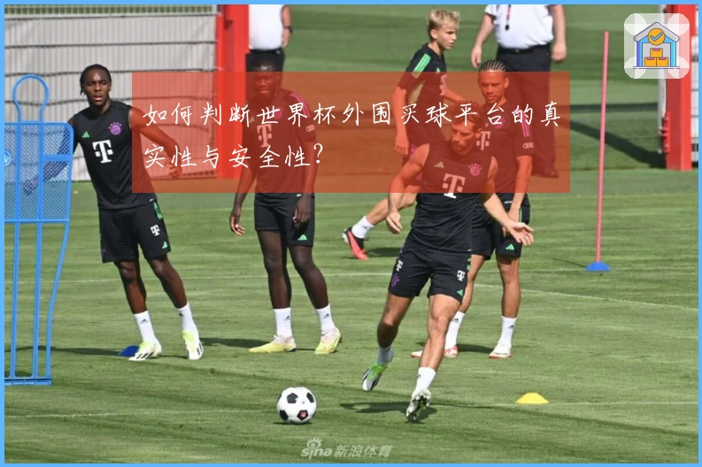 如何判断世界杯外围买球平台的真实性与安全性？
