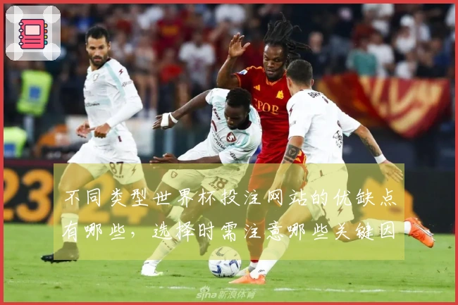 不同类型世界杯投注网站的优缺点有哪些，选择时需注意哪些关键因素？