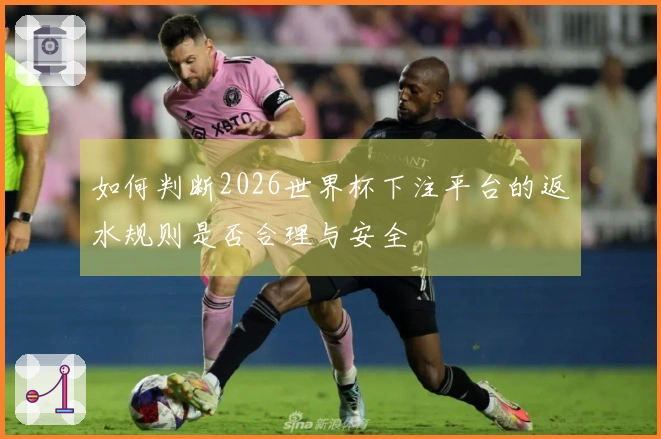 如何判断2026世界杯下注平台的返水规则是否合理与安全