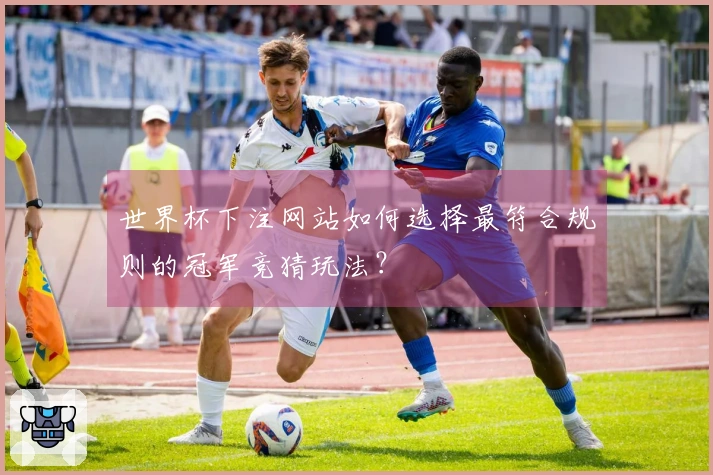 世界杯下注网站如何选择最符合规则的冠军竞猜玩法？