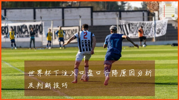 世界杯下注入口盘口升降原因分析及判断技巧
