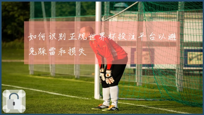 如何识别正规世界杯投注平台以避免踩雷和损失
