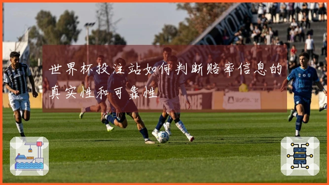 世界杯投注站如何判断赔率信息的真实性和可靠性