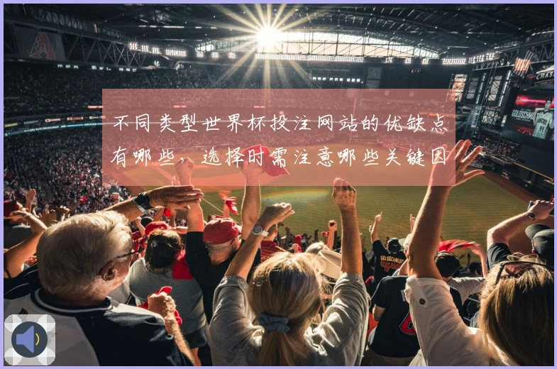 不同类型世界杯投注网站的优缺点有哪些，选择时需注意哪些关键因素？