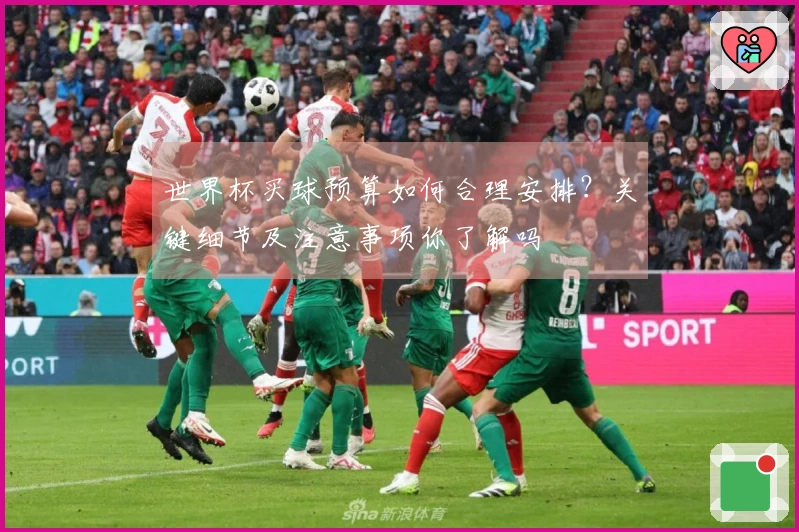 世界杯买球预算如何合理安排？关键细节及注意事项你了解吗
