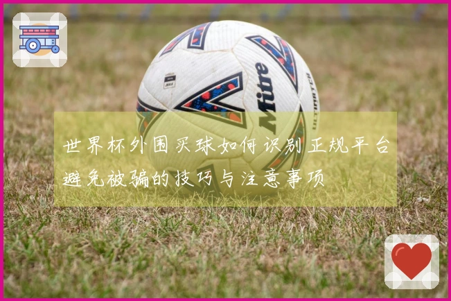世界杯外围买球如何识别正规平台避免被骗的技巧与注意事项