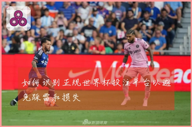 如何识别正规世界杯投注平台以避免踩雷和损失