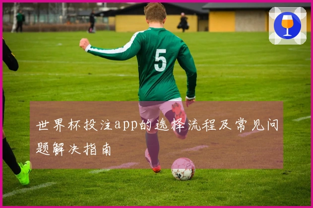 世界杯投注app的选择流程及常见问题解决指南