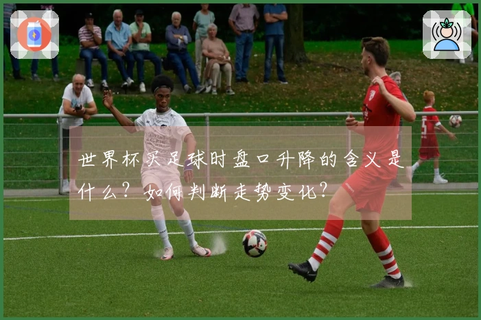 世界杯买足球时盘口升降的含义是什么？如何判断走势变化？