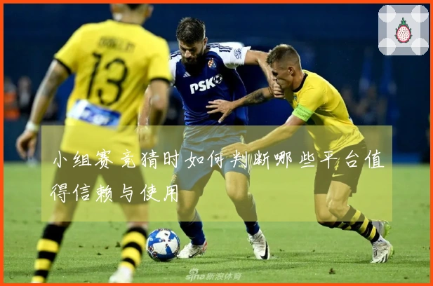 小组赛竞猜时如何判断哪些平台值得信赖与使用