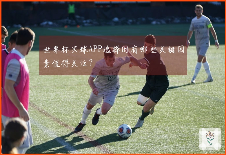 世界杯买球APP选择时有哪些关键因素值得关注？