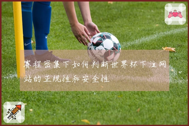 赛程密集下如何判断世界杯下注网站的正规性和安全性