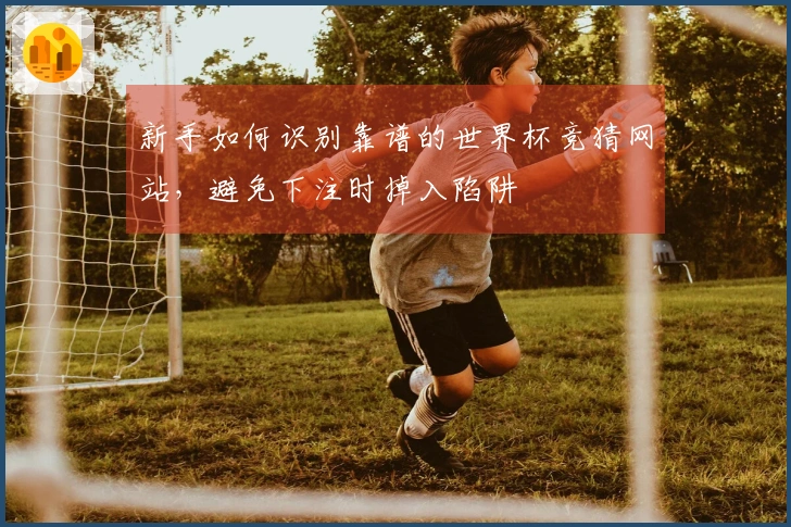 新手如何识别靠谱的世界杯竞猜网站，避免下注时掉入陷阱