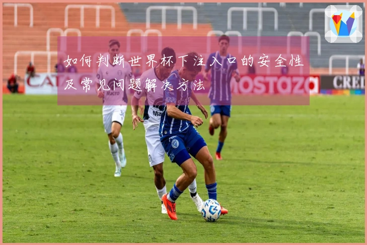 如何判断世界杯下注入口的安全性及常见问题解决方法