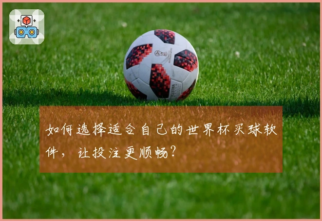 如何选择适合自己的世界杯买球软件，让投注更顺畅？