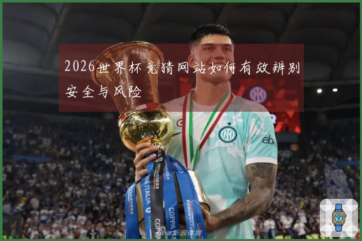 2026世界杯竞猜网站如何有效辨别安全与风险
