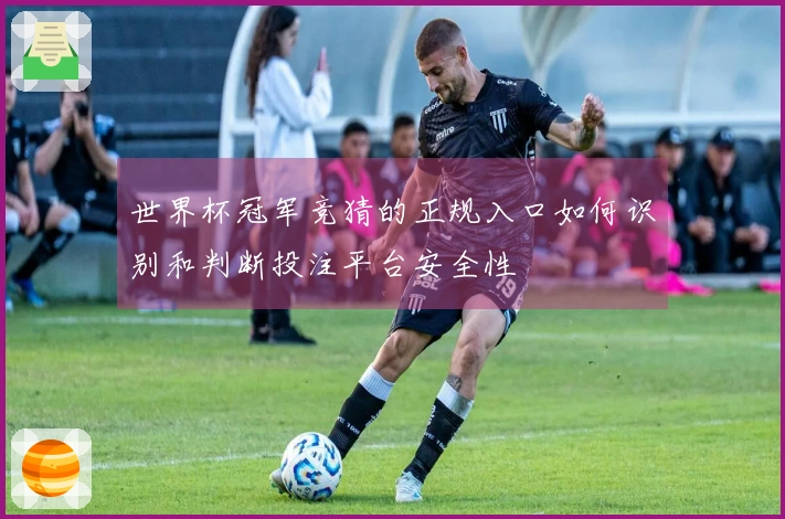 世界杯冠军竞猜的正规入口如何识别和判断投注平台安全性