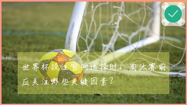 世界杯投注官网选择时，淘汰赛前应关注哪些关键因素？