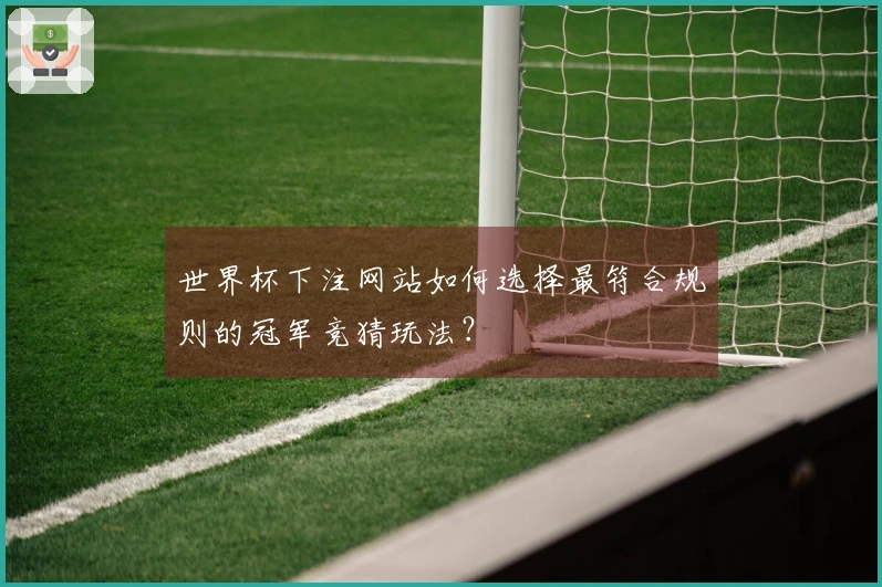 世界杯下注网站如何选择最符合规则的冠军竞猜玩法？