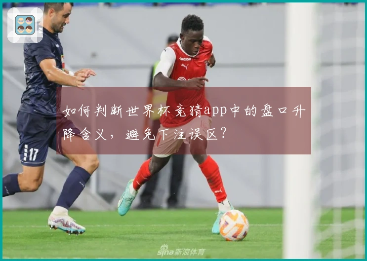 如何判断世界杯竞猜app中的盘口升降含义，避免下注误区？