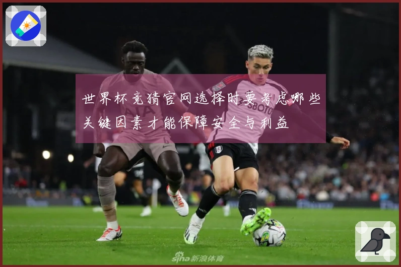 世界杯竞猜官网选择时要考虑哪些关键因素才能保障安全与利益
