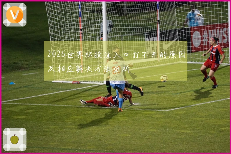 2026世界杯投注入口打不开的原因及相应解决方法分析