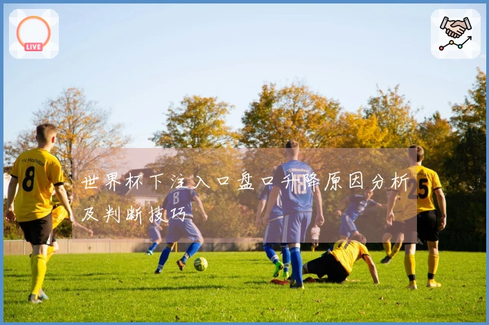 世界杯下注入口盘口升降原因分析及判断技巧
