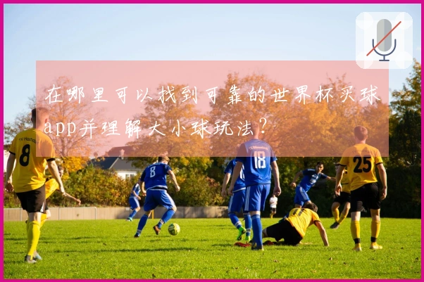 在哪里可以找到可靠的世界杯买球app并理解大小球玩法？