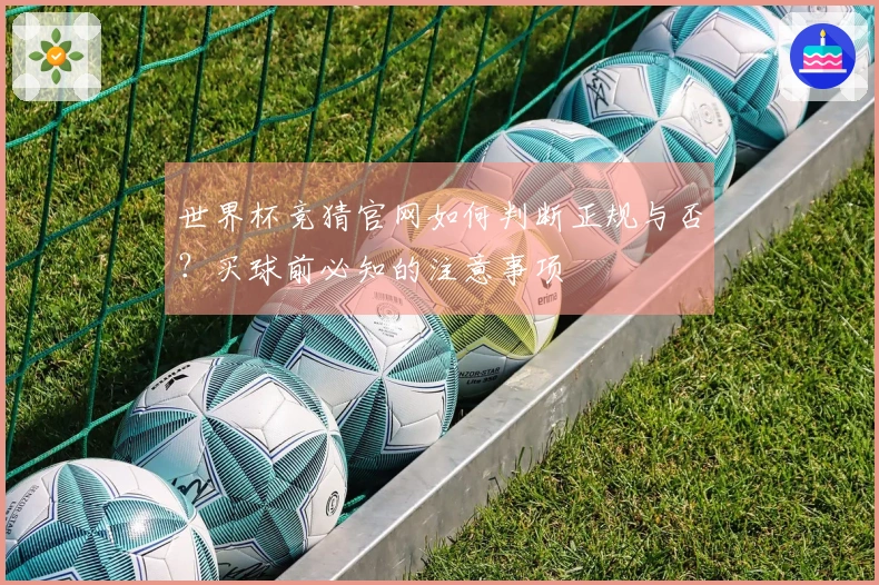 世界杯竞猜官网如何判断正规与否？买球前必知的注意事项