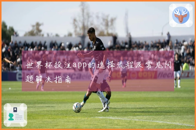 世界杯投注app的选择流程及常见问题解决指南