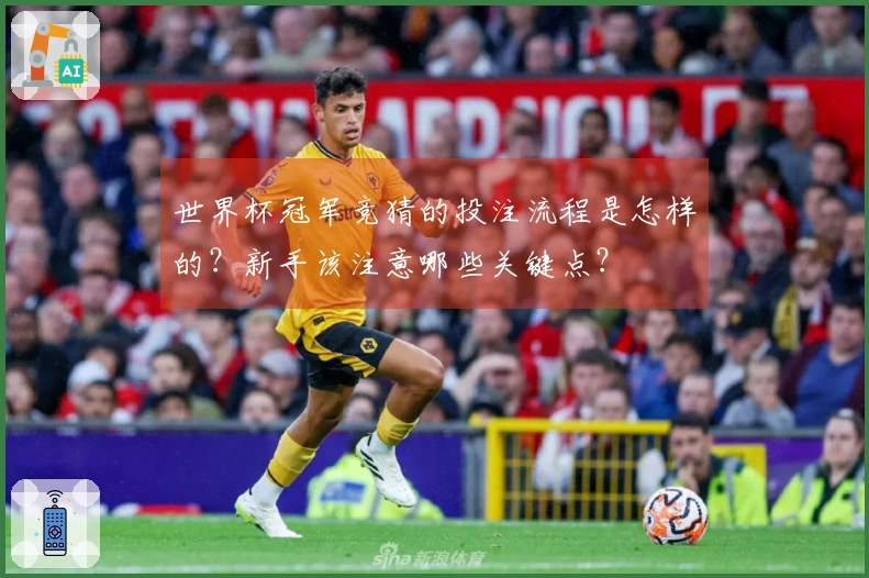 世界杯冠军竞猜的投注流程是怎样的？新手该注意哪些关键点？