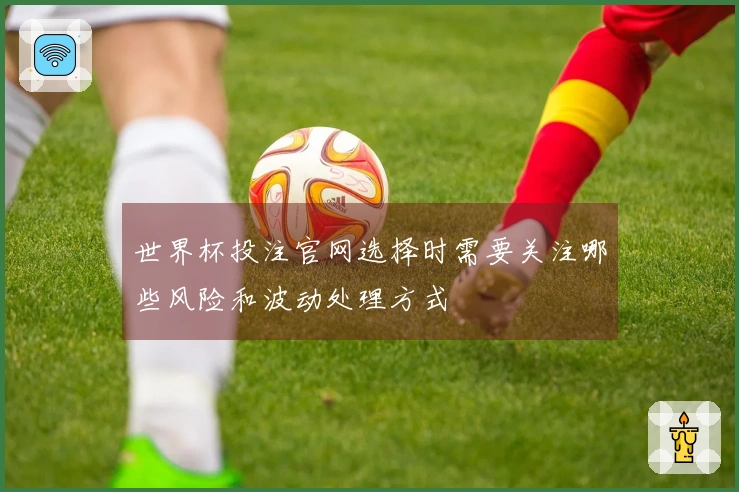 世界杯投注官网选择时需要关注哪些风险和波动处理方式