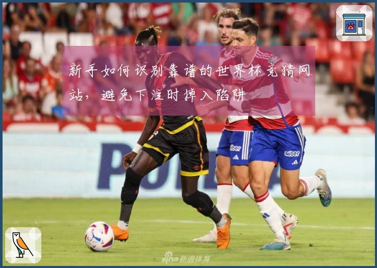 新手如何识别靠谱的世界杯竞猜网站，避免下注时掉入陷阱