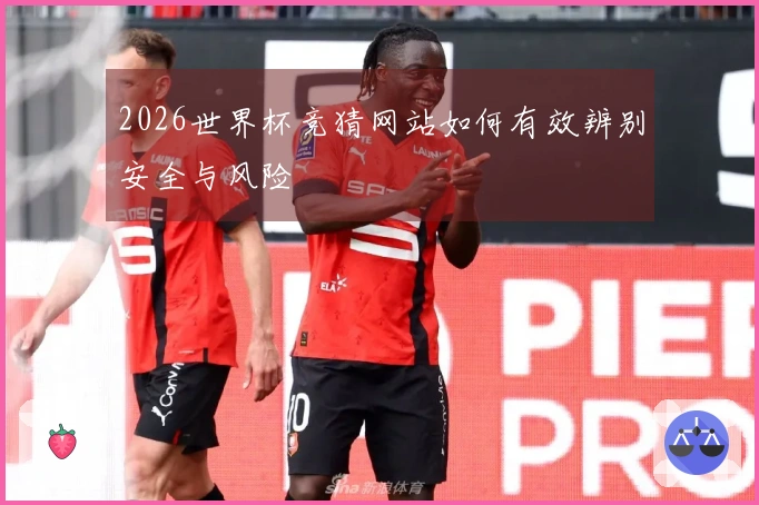 2026世界杯竞猜网站如何有效辨别安全与风险