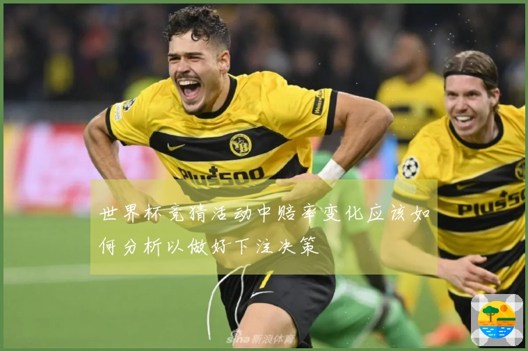 世界杯竞猜活动中赔率变化应该如何分析以做好下注决策